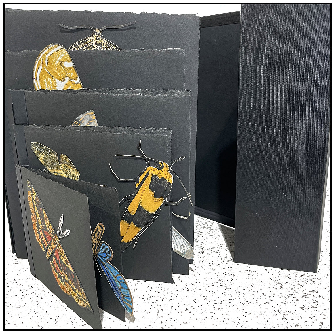 Moth Book