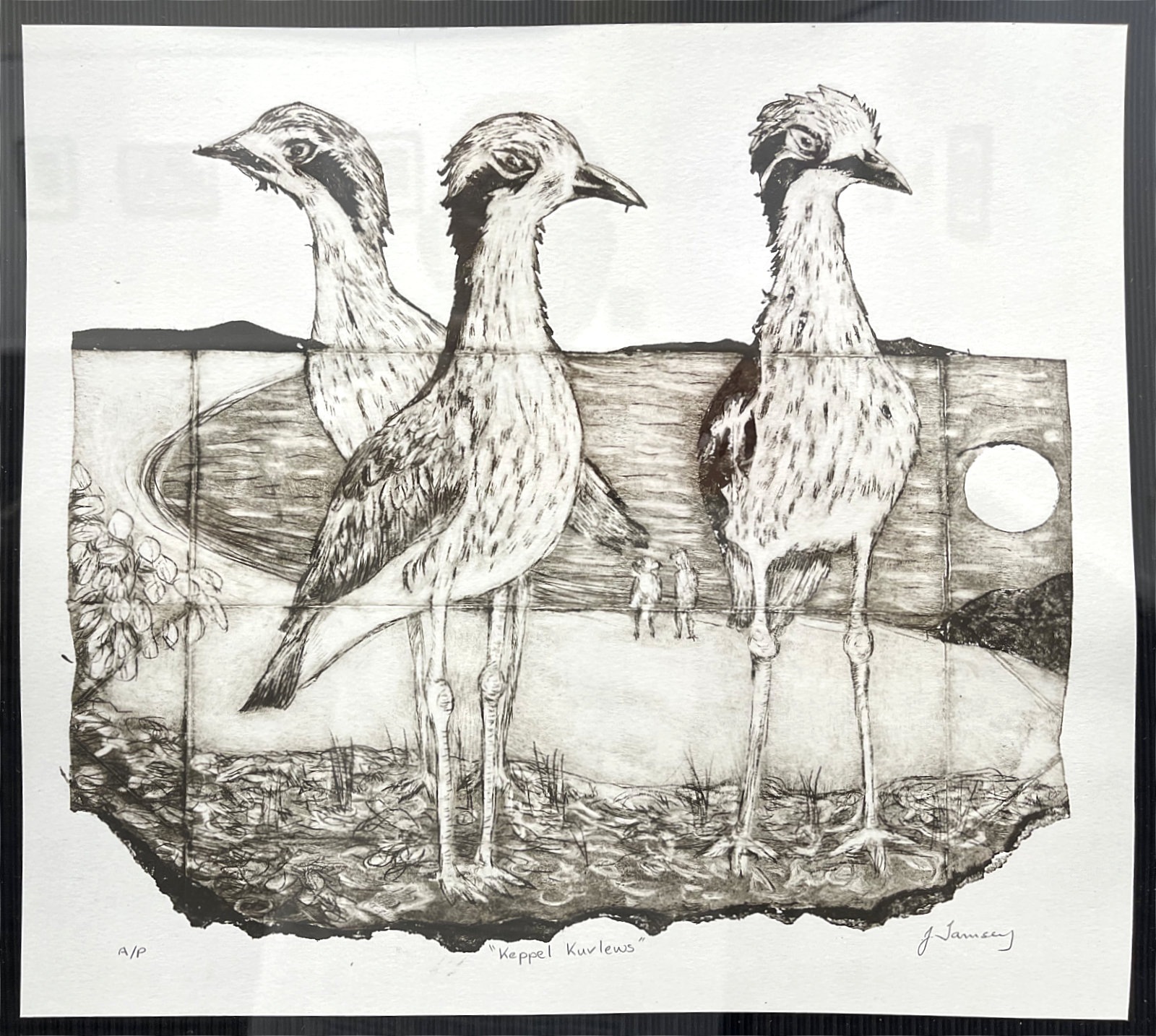 Exhibition Work