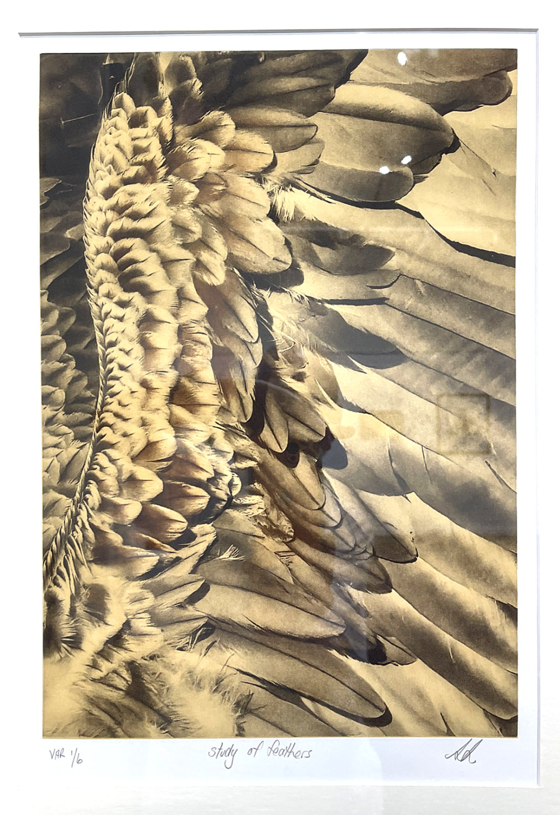 Exhibition Work