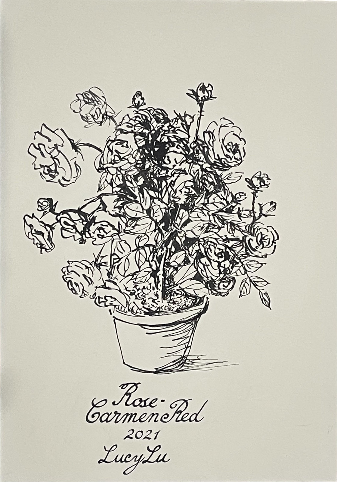 Hanbing recent works: ink drawing