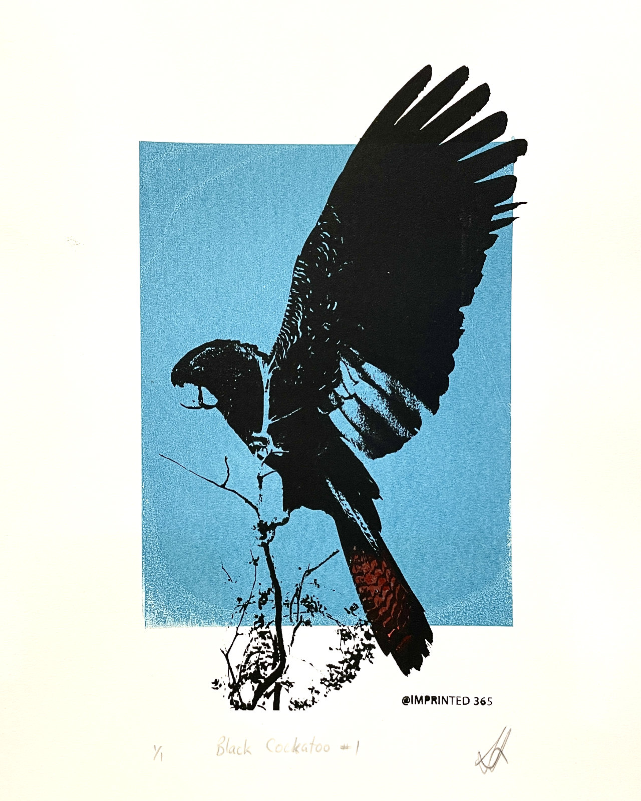 Screenprint