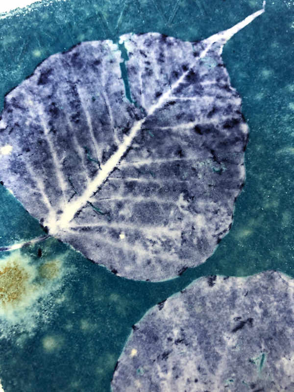 Cyanotype detail, Leaves, 2019