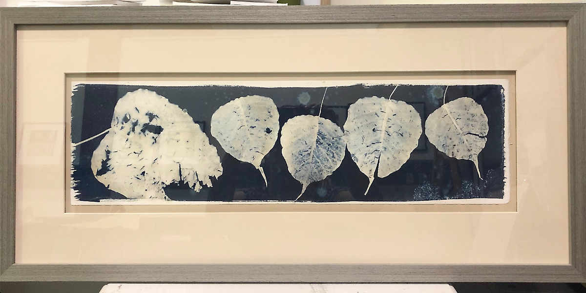 Cyanotype, Rhythms 2019
