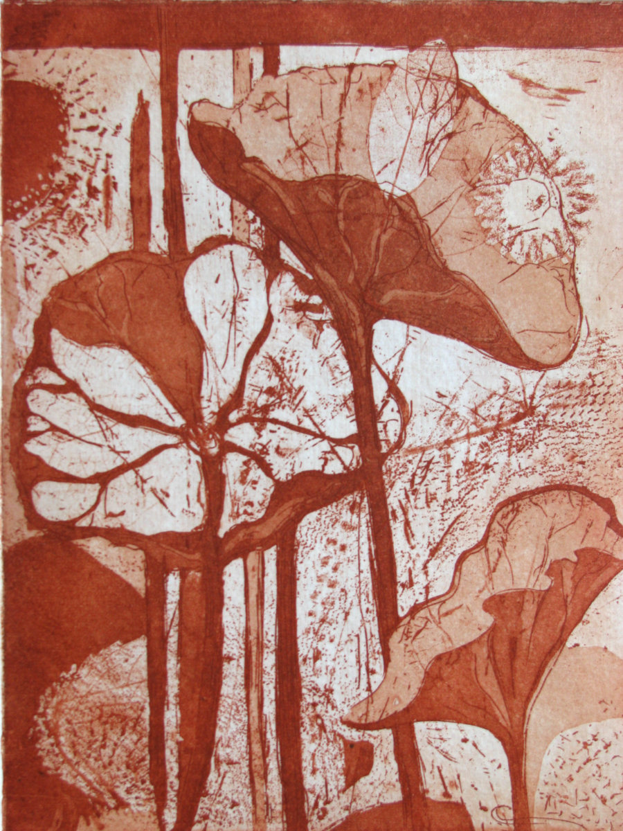 Sambuddhananda Saraswati portfolio