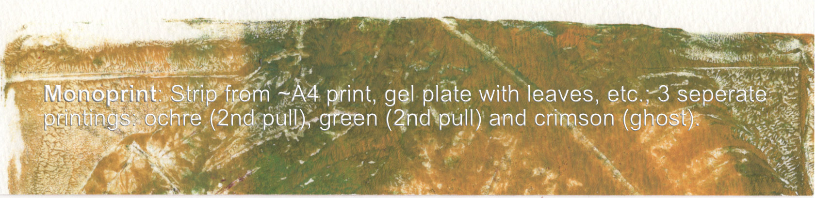 Monoprint flag book