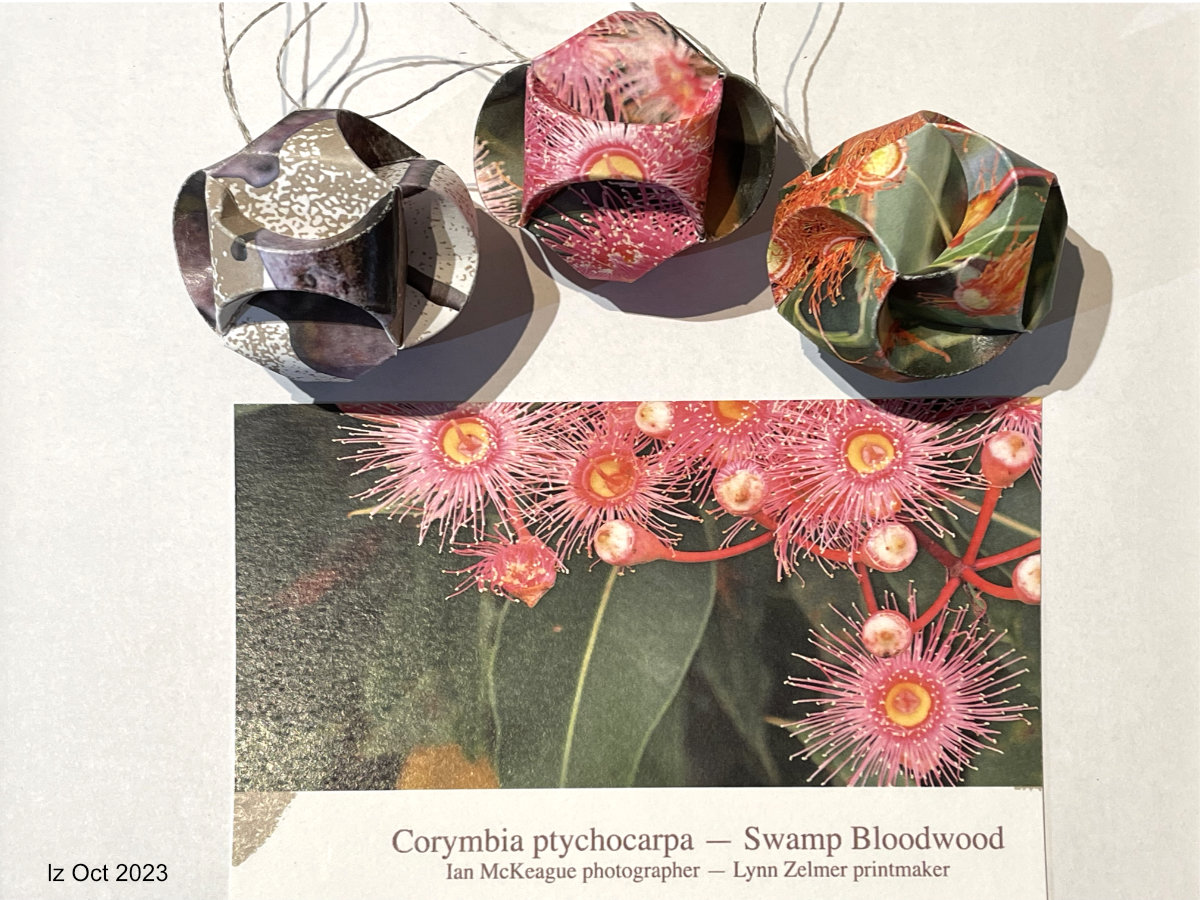 Swamp Bloodwood Orbs